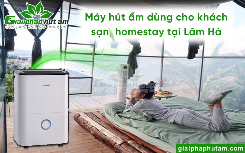 Máy hút ẩm ưa dùng tại khách sạn, homestay Lâm Hà