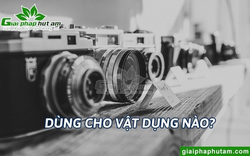 Các vật dụng nào được cho và không nên cho vào tủ chống ẩm