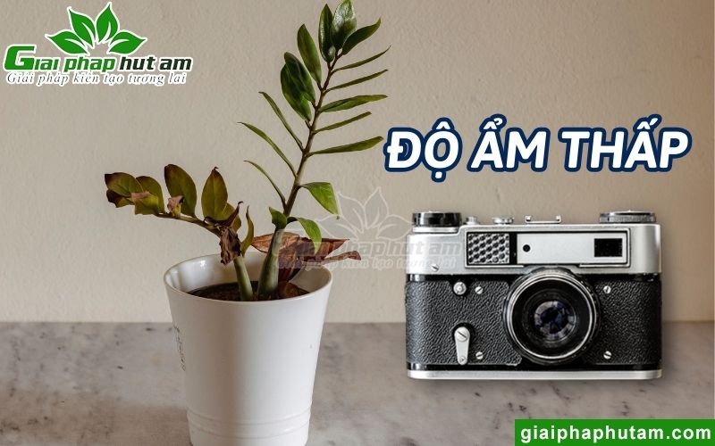 Độ ẩm thấp ảnh hướng đến máy ảnh và ống kính như thế nào?
