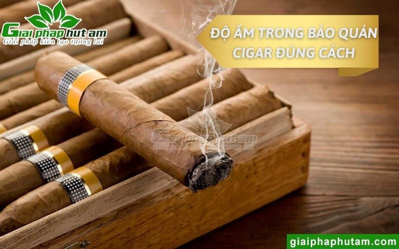 Độ ẩm trong bảo quản cigar đúng cách