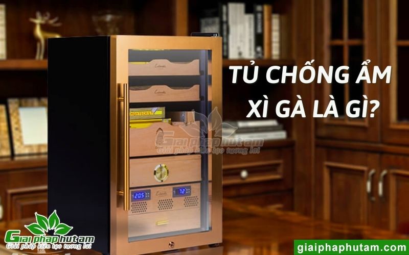 Tủ chống ẩm xì gà là gì?
