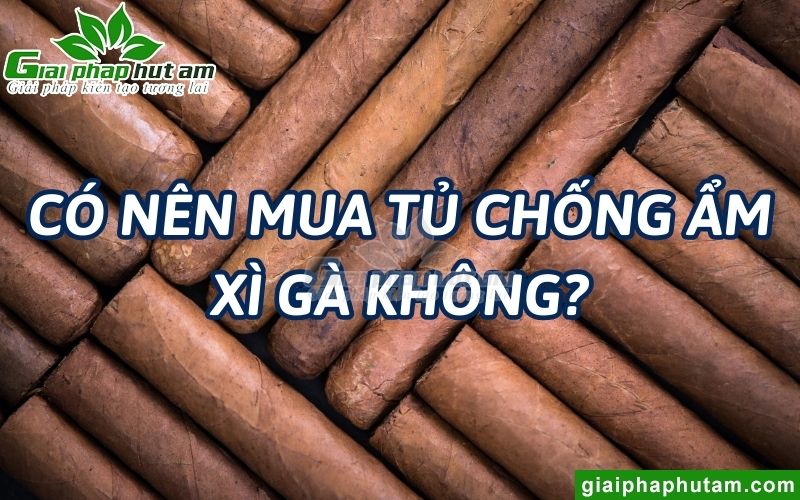 Có nên mua tủ chống ẩm xì gà không?