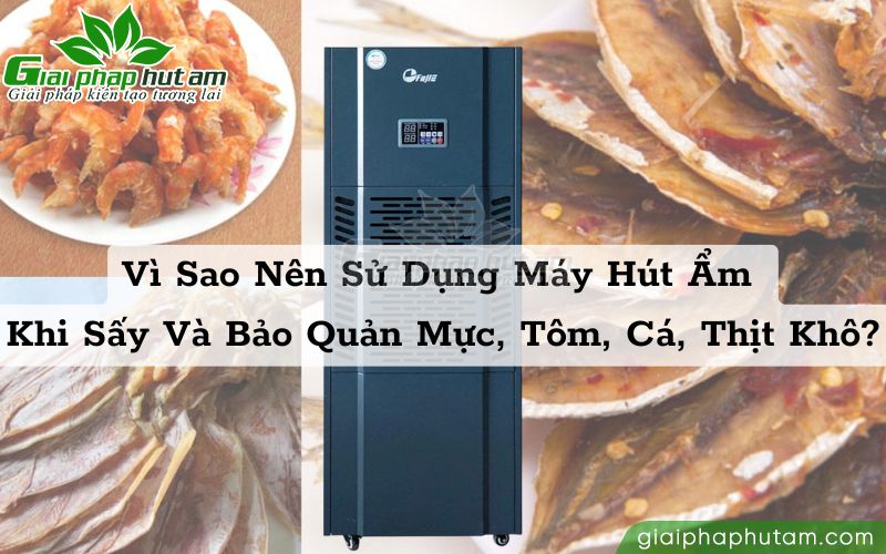 Tại sao nên sử dụng máy hút ẩm khi sấy và bảo quản mực, tôm, cá, thịt khô?