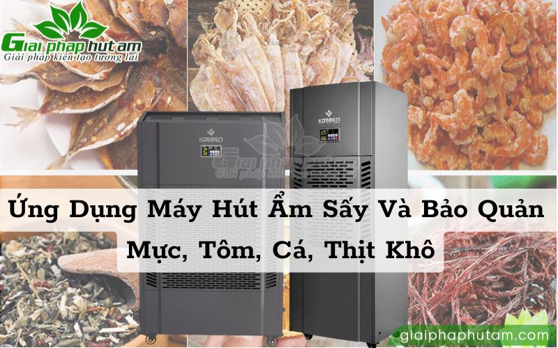 Ứng dụng máy hút ẩm trong sấy và bảo quản tôm mực cá thịt khô